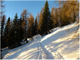 Planina Zajavornik - Debeli vrh nad Lipanco